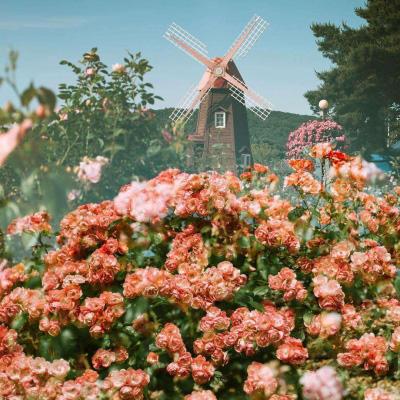 加拿大南宫NG娱乐app下载