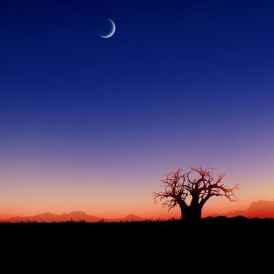 万博手机版max网页版下载手机版