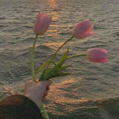 ayx爱游戏全站app下载