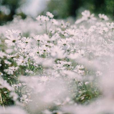 万博(ManBetx)app下载