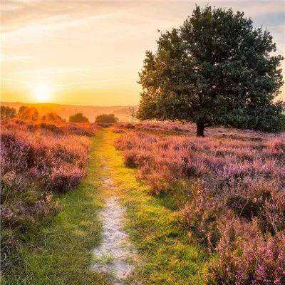 亚博app(中国)官方网站app下载