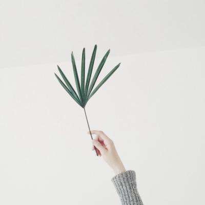 开元ky888网址截图