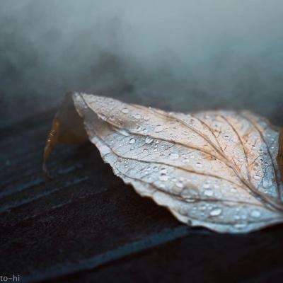 开开棋牌手机app下载